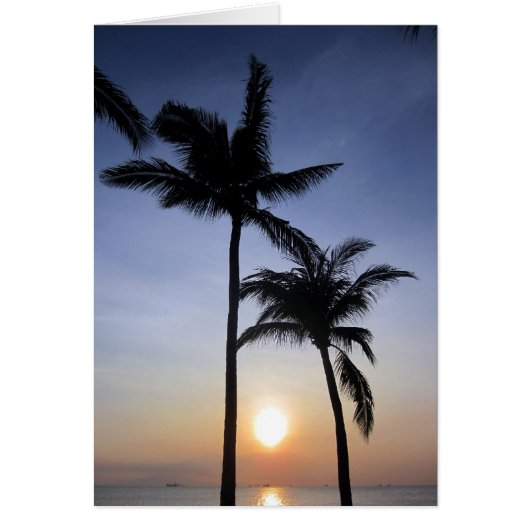 palms manila sunset cards (Front)
