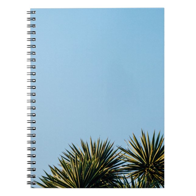 palms notebook (Front)