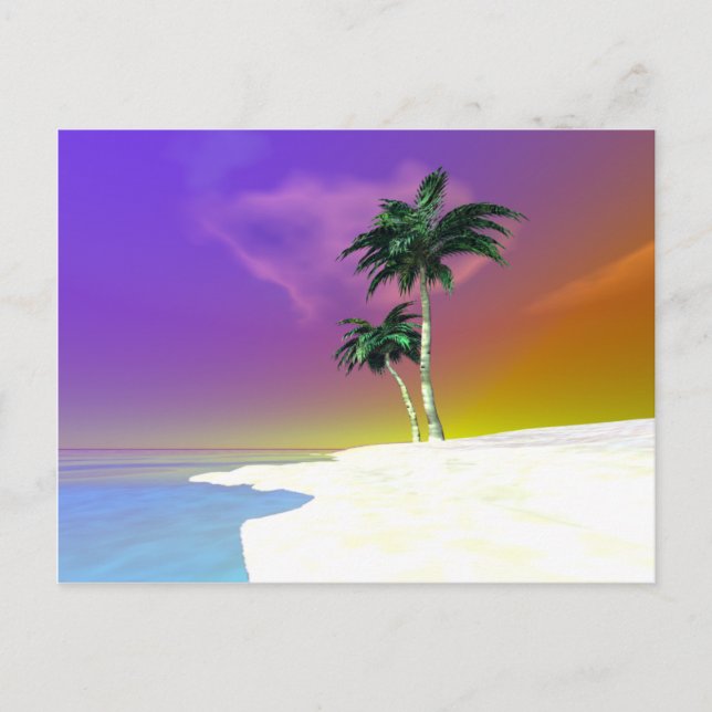 Palms on White Postcard (Front)