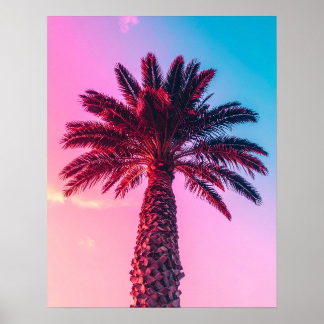 palms poster (Front)