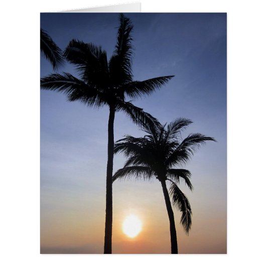 palms sunset big cards (Front)