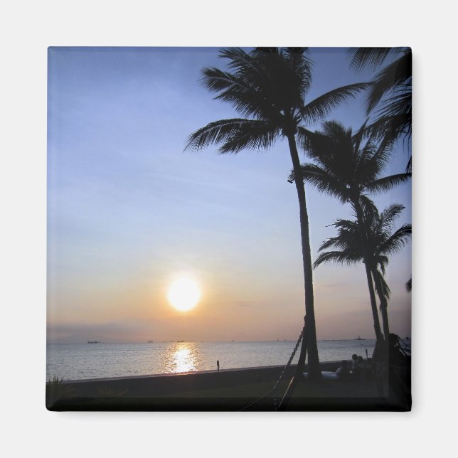 palms sunset magnet (Front)