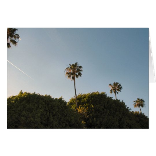 palmtrees card