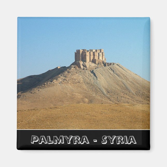 Palmyra, treasures of Syria (Fridge Magnet) Magnet (Front)