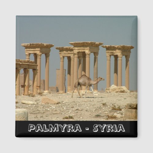 Palmyra treasures of Syria No3 Fridge Magnet Magnet