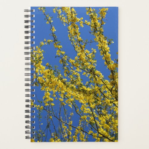 Palo Verde Yellow Flowers Photograph Planner