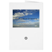 paloma cards (Back)