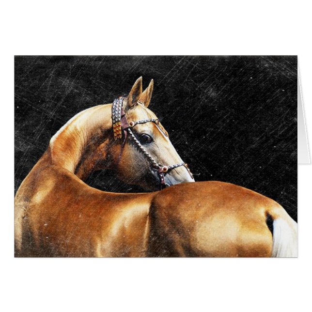 Palomino Akhal-teke stallion Cards (Front Horizontal)