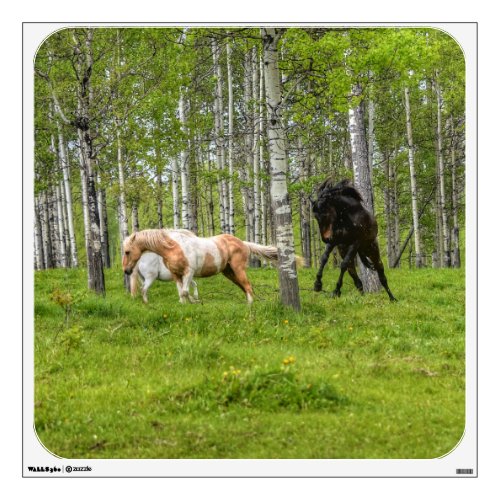 Palomino and Percheron Horses Playfighting Photo 3 Wall Sticker