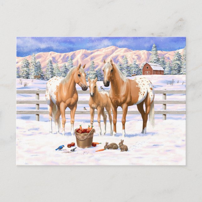 Palomino Appaloosa Horses In Snow Postcard (Front)