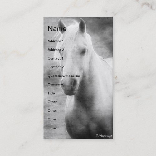 Palomino Black and White Business Card