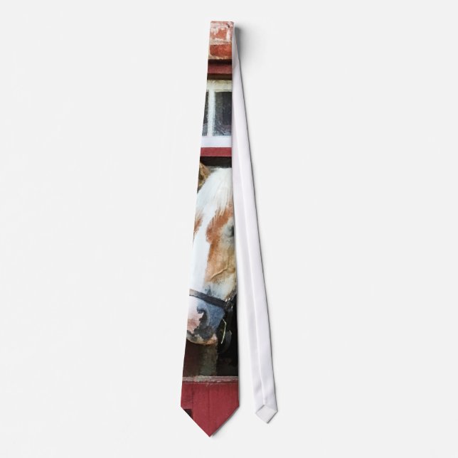 Palomino by Barn Door Tie (Front)