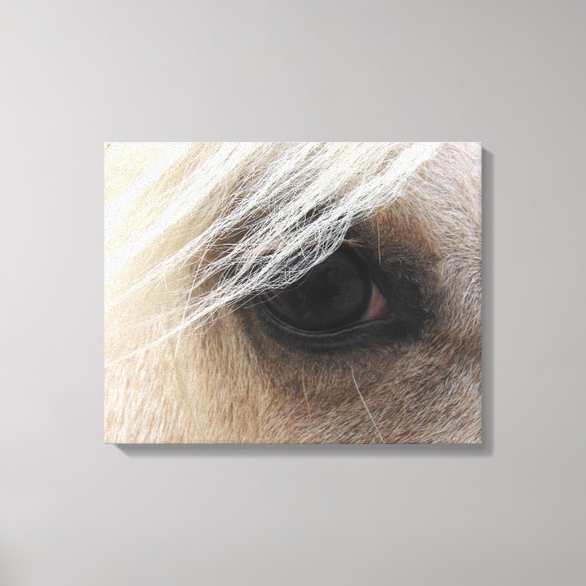 Palomino Canvas Print (Front)