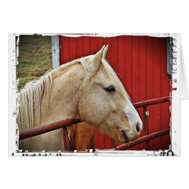 Palomino Cards (Front Horizontal)