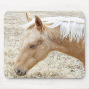 Palomino Colt Pony Horse Mouse Pad
