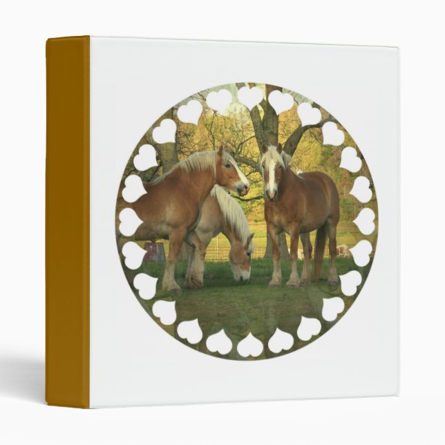 Palomino Draft Horse Binder (Front/Spine)