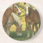 Palomino Draft Horses Coaster