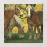 Palomino Draft Horses Invitation