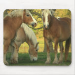 Palomino Draft Horses Mouse Pad