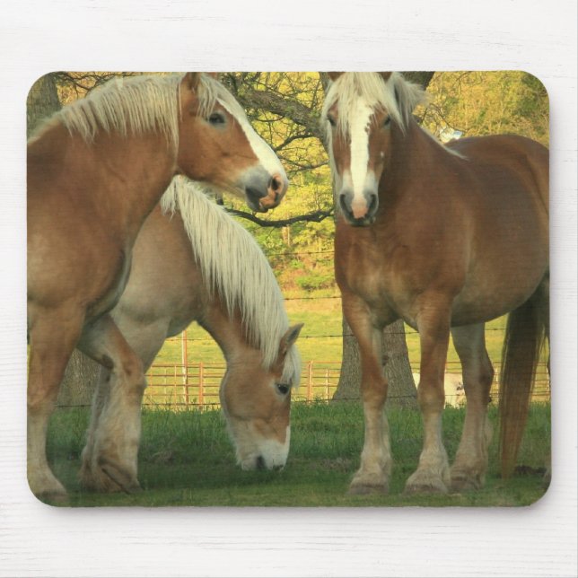 Palomino Draft Horses Mouse Pad (Front)
