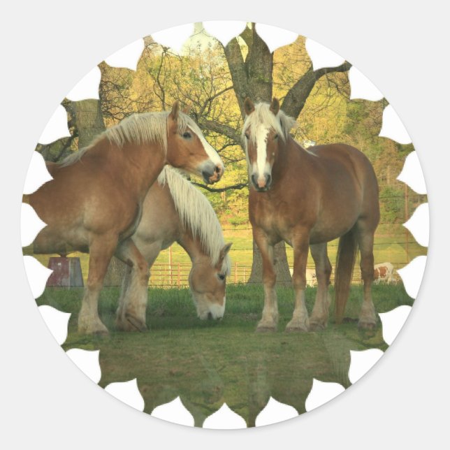 Palomino Draft Horses Stickers (Front)