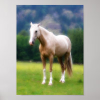 Palomino Dream Horse Poster