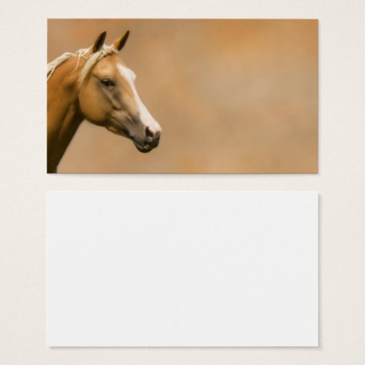 Palomino Elegance (Front & Back)