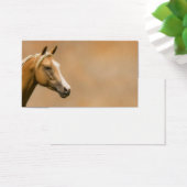 Palomino Elegance (Desk)