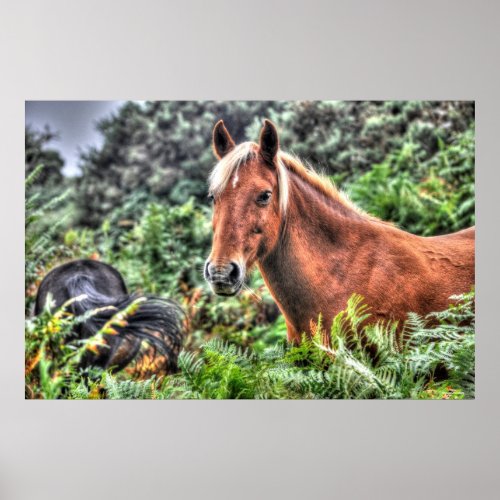 Palomino Flaxen_maned New Forest Horse Poster