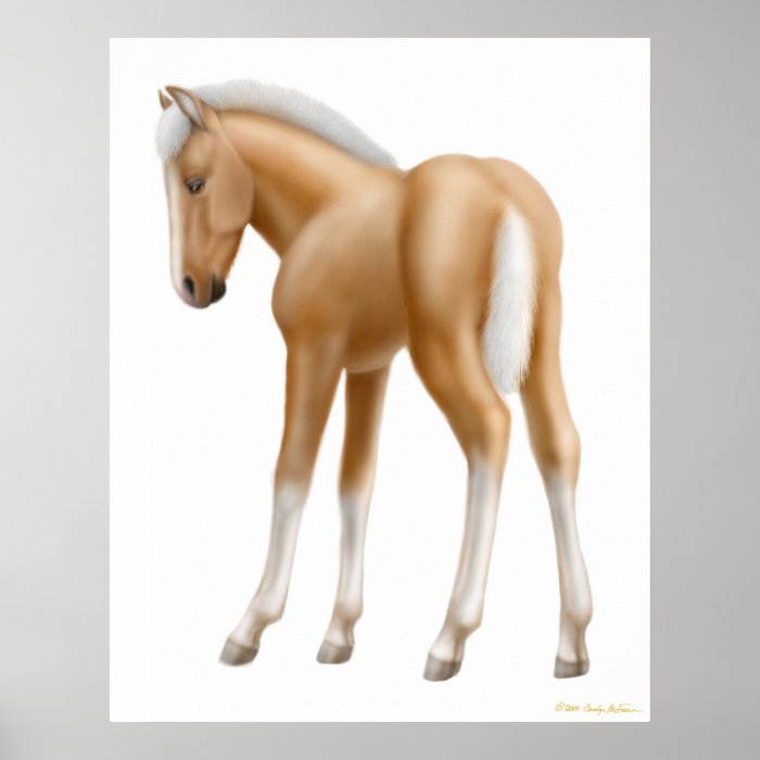 Palomino Foal Print