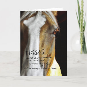 PALOMINO Greeting Card
