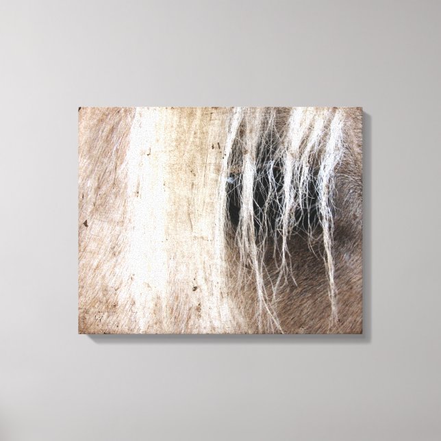 Palomino Grunge Canvas Print (Front)