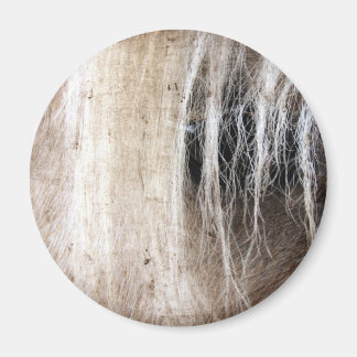 Palomino Grunge Magnet