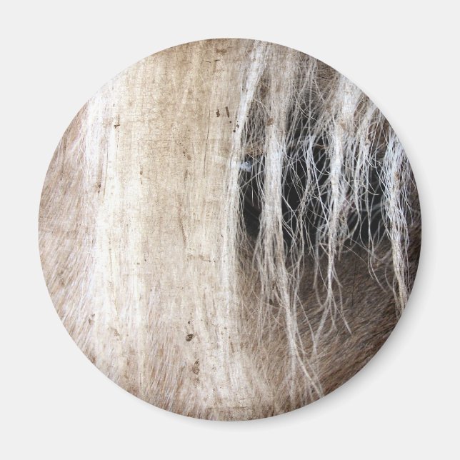 Palomino Grunge Magnet (Front)