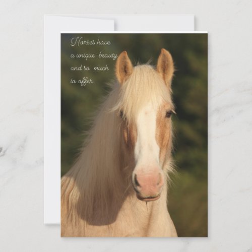 Palomino Gypsy Vanner Horse greeting card