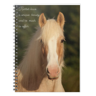 Palomino gypsy vanner horse stationary  notebook
