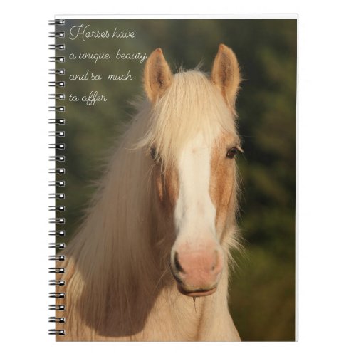 Palomino gypsy vanner horse stationary  notebook