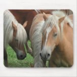 Palomino Herd Mousepad