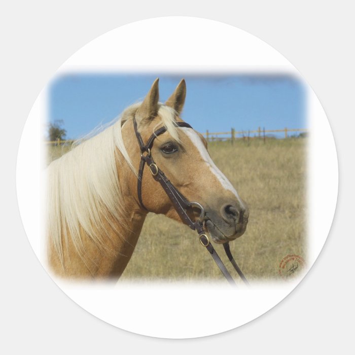 Palomino Horse 9R015D 184 Stickers