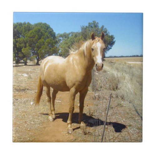 Palomino Horse Beauty Ceramic Tile