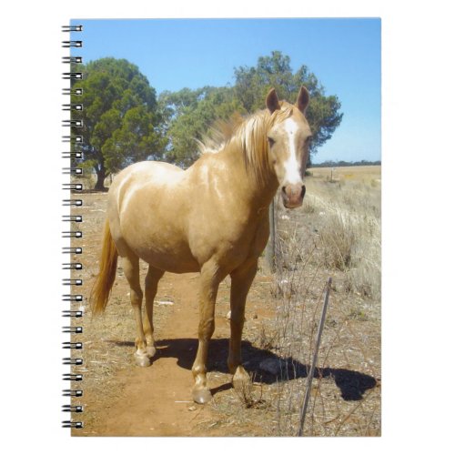 Palomino Horse Beauty Notebook