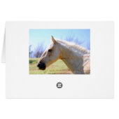 Palomino Horse Card (Back Horizontal)