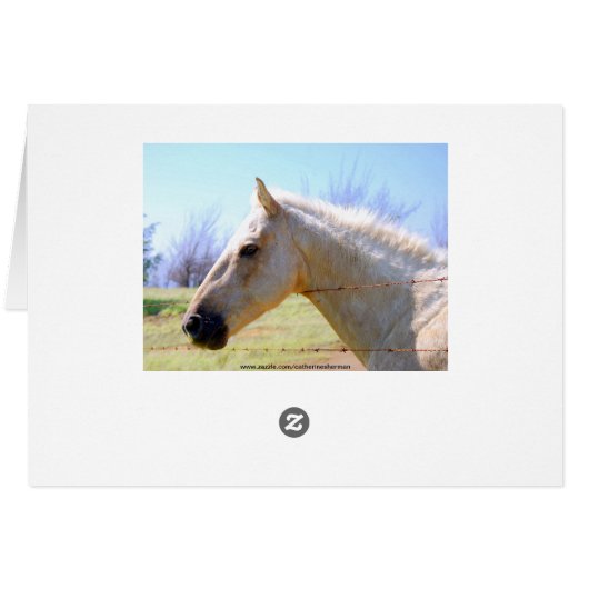 Palomino Horse Card (Back Horizontal)