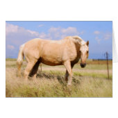 Palomino Horse Card (Front Horizontal)