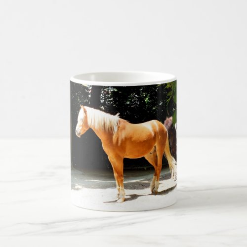 Palomino horse coffee mug