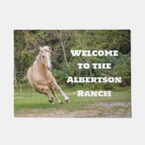 Palomino