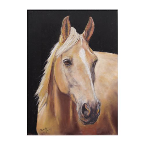 Palomino Horse Equine Art Acrylic Print