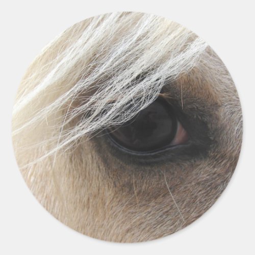 Palomino Horse Eye Classic Round Sticker