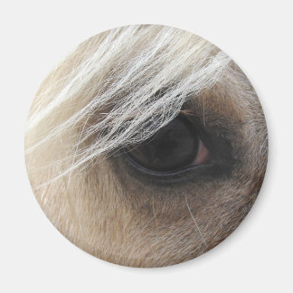 Palomino Horse Eye Magnet