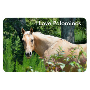 Palomino Horse Flexible Magnet